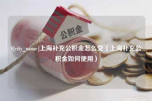 钟祥上海补充公积金怎么交（上海补充公积金如何使用）